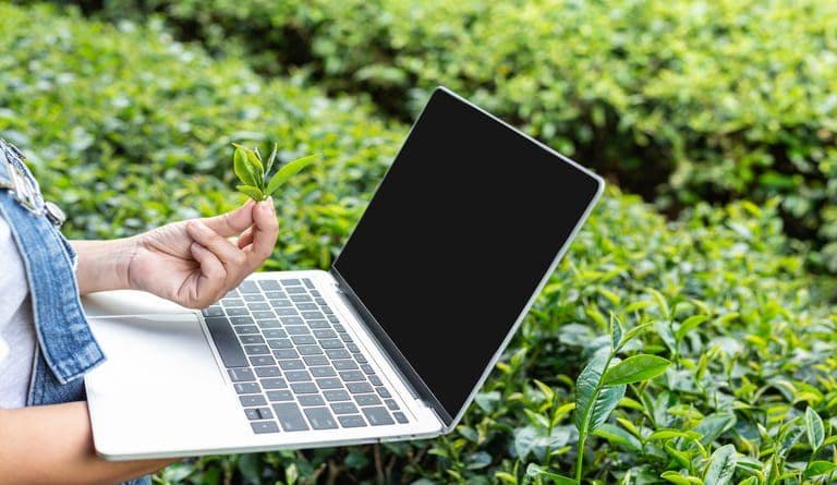 A Revolução dos Dados: Explorando o Potencial do Software para Agronegócio